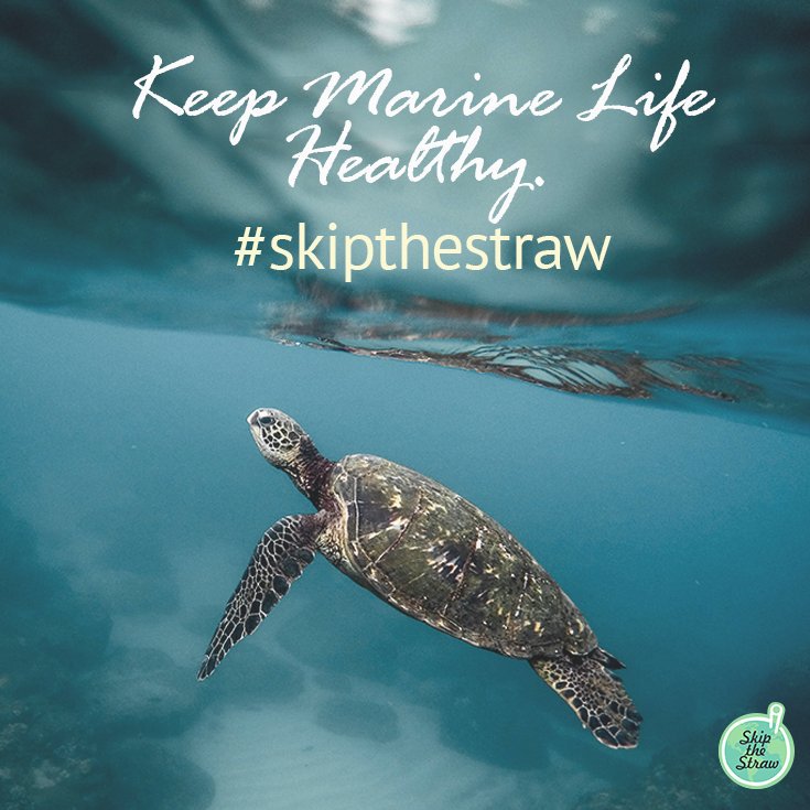 Skip the straw campaign for ocean pollution.