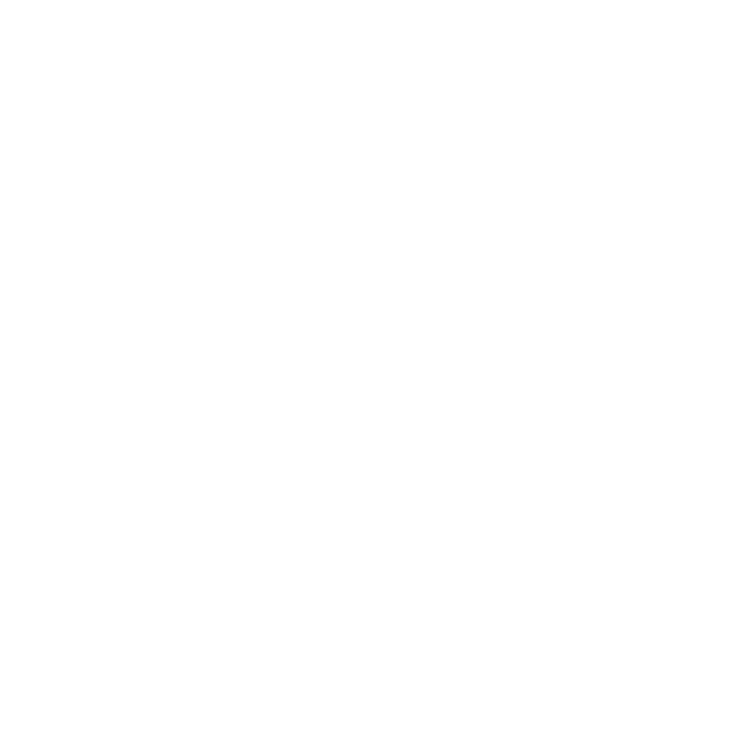 South Africa Surf Tours Logo 2020